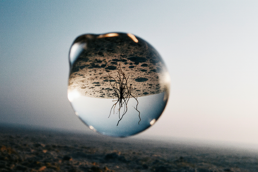 Water is Not Just a Liquid, But a Vast Invisible Ocean